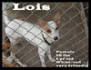 Lois