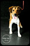 Sparky