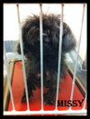 Missy