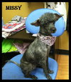 Missy