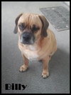 Billy