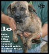 Milo
