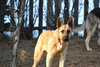 Lucy