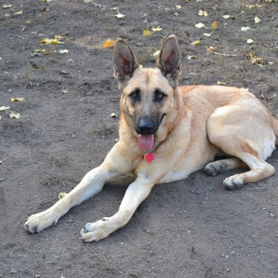 Lucy