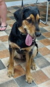 Tucker