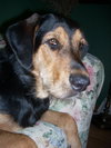 Tucker