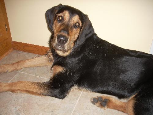 Tucker