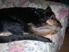Tucker