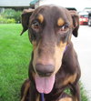Bruno