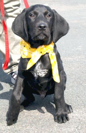 Hudson
