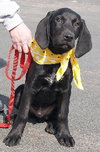 Hudson