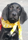 Hudson
