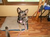 Lil Girl