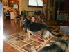 Lil Girl