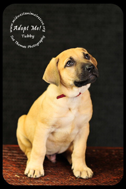 Tubby