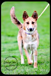 Missy