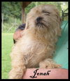 Jonah