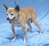 Belle-Senior