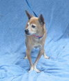 Belle-Senior