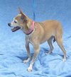 Belle-Senior