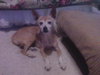 Belle-Senior
