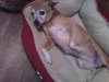Belle-Senior