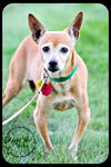 Belle-Senior