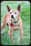 Belle-Senior