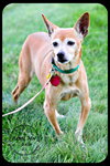 Belle-Senior