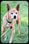 Belle-Senior