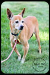 Belle-Senior