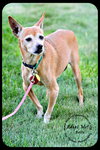 Belle-Senior