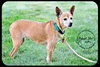 Belle-Senior
