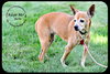 Belle-Senior