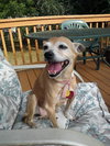Belle-Senior