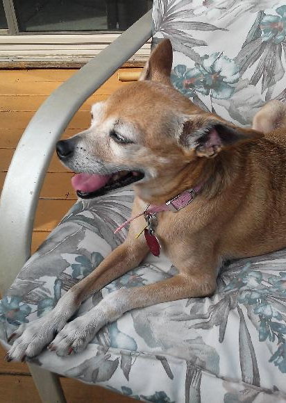 Belle-Senior