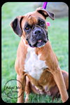 Roxy