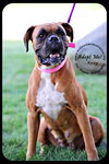 Roxy