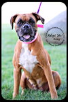 Roxy