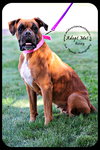 Roxy