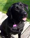 Ellie