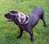 Ellie