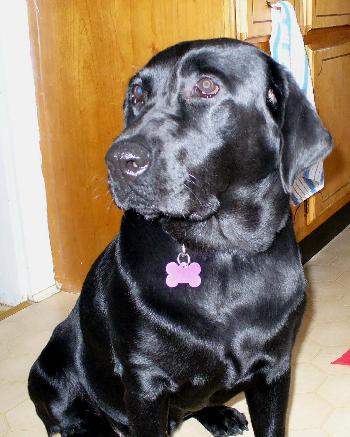 Ellie