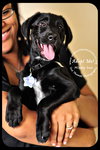Mindy Sue- Puppy