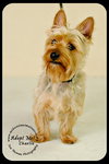 Charlie