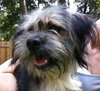 Benji