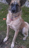 Kita