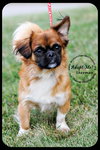 Sherman