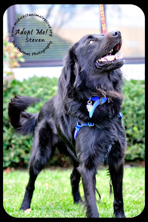 Steven