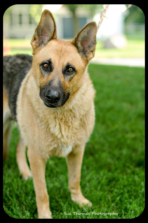 Trigg